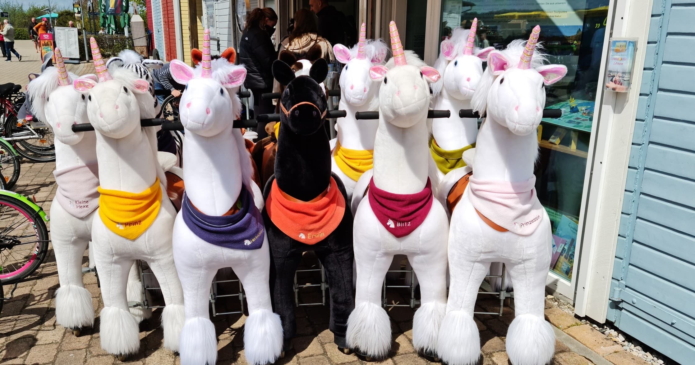 Land Adventures with Reittiere: Lakeside Animal Rides in Germany