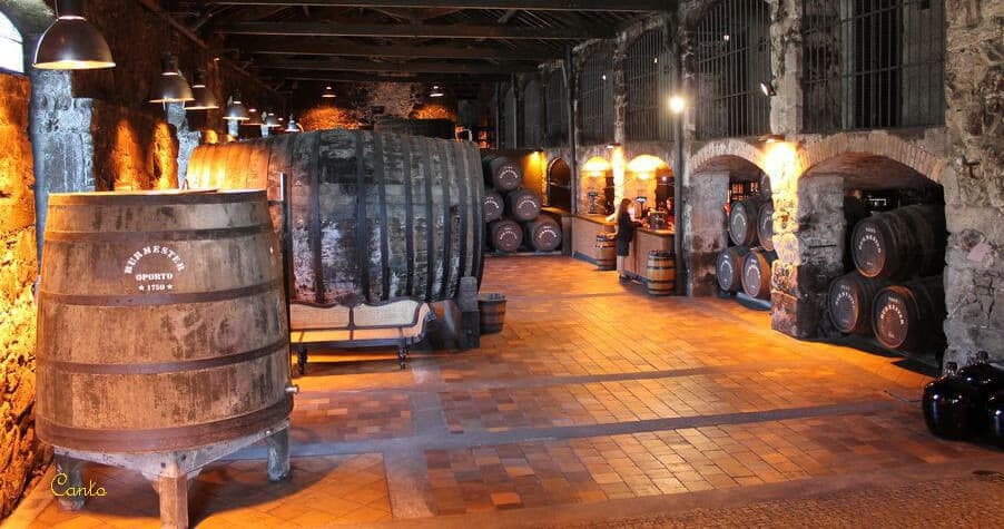 Porto Bike & Wine Tour by Top Bike Tours: A Portuguese Adventure