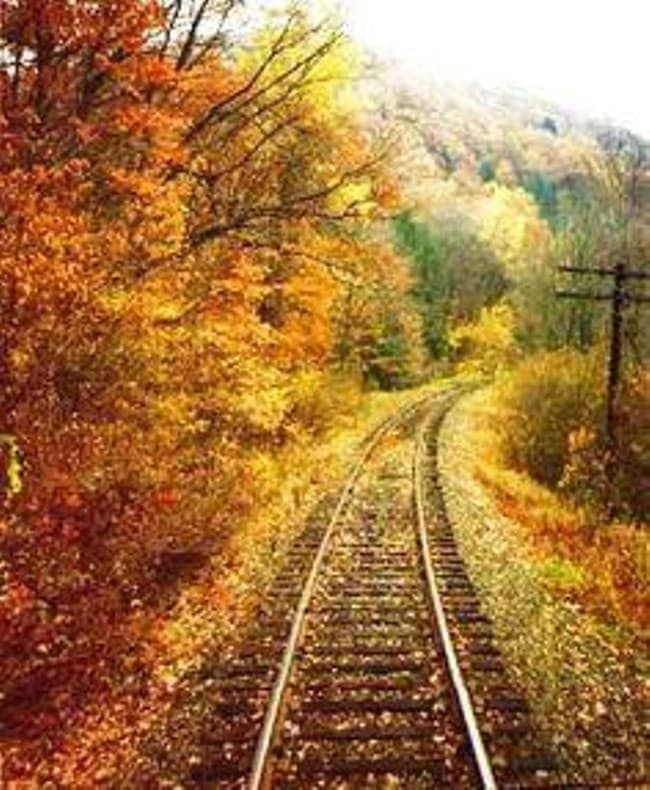 Kentucky Railway Museum Fall Break Express in New Haven