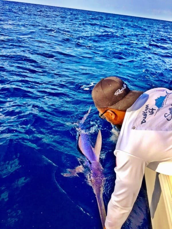 Deckhand releasing billfish into deep blue Atlantic waters