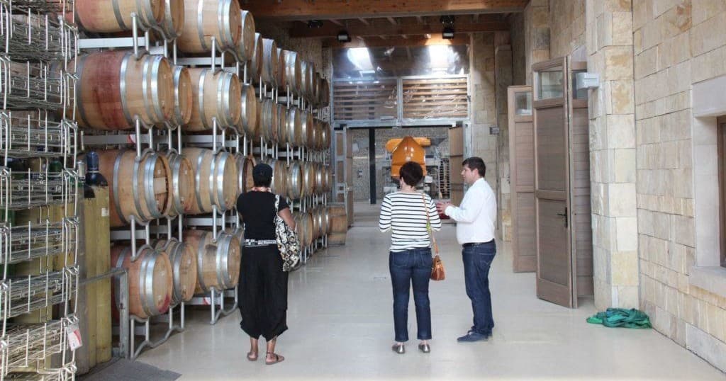 Discover Hungary’s Villány Wine Region: A Day Tour from Budapest