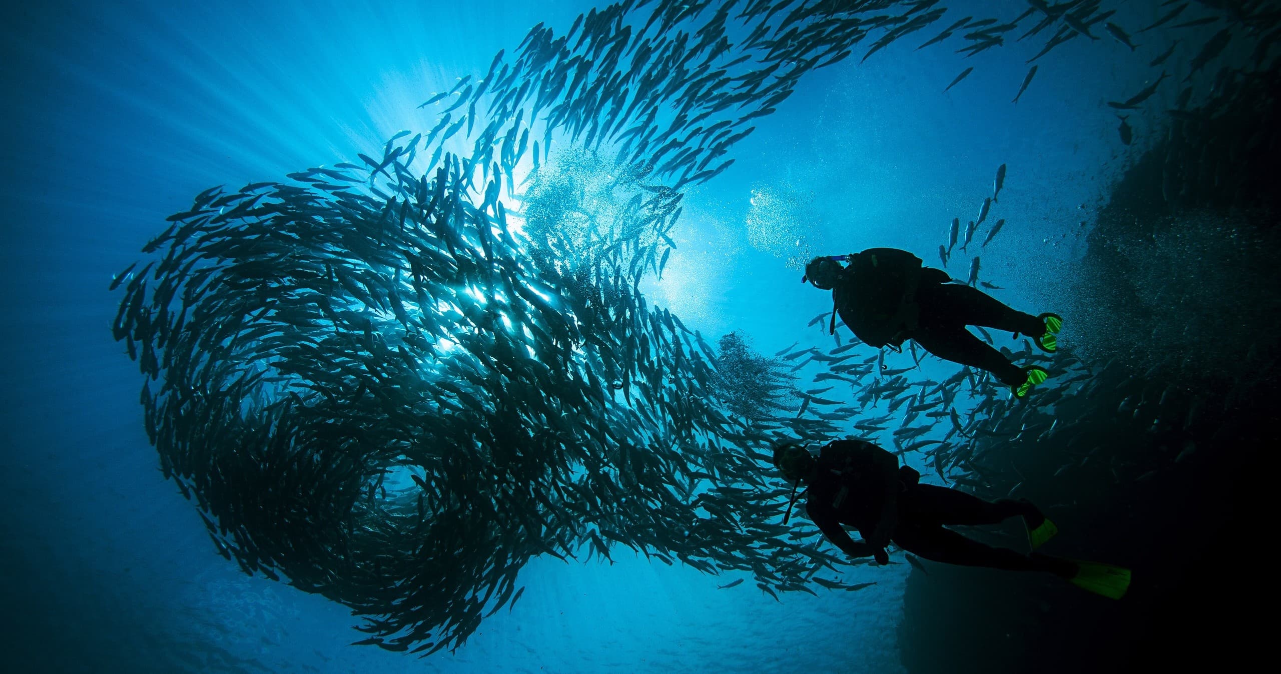 Deep Diving Adventures at Jetty Dive Centre, Coffs Harbour