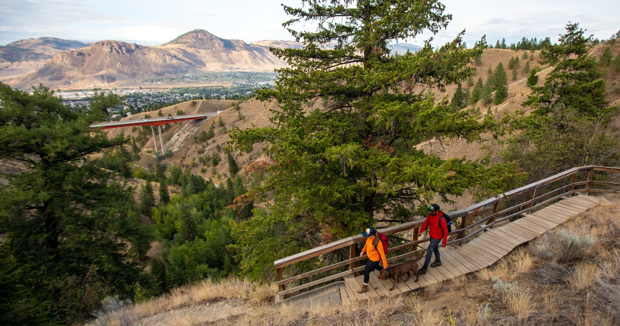 Hikers on scenic boardwalk trail through pine-dotted canyon landscape