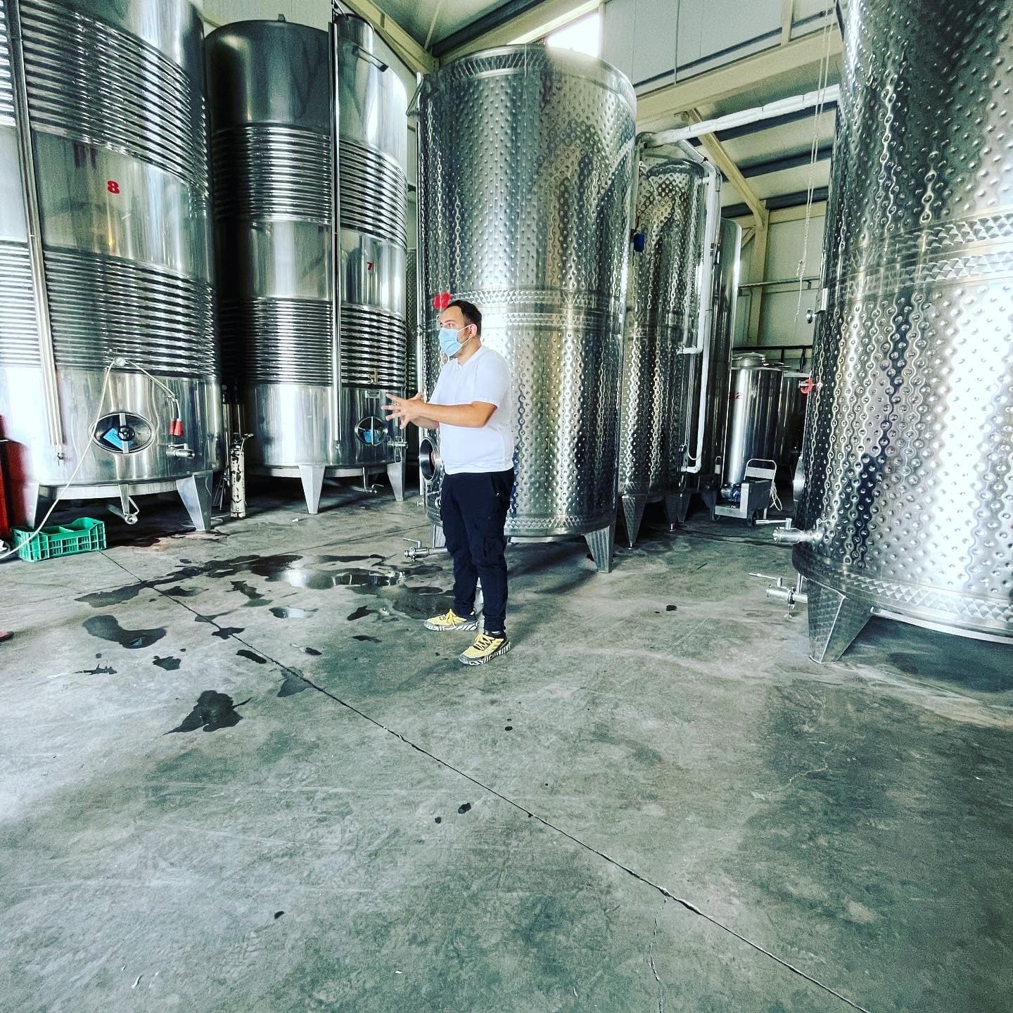 Attica’s Premium Wine Tour with Greece by the Glass