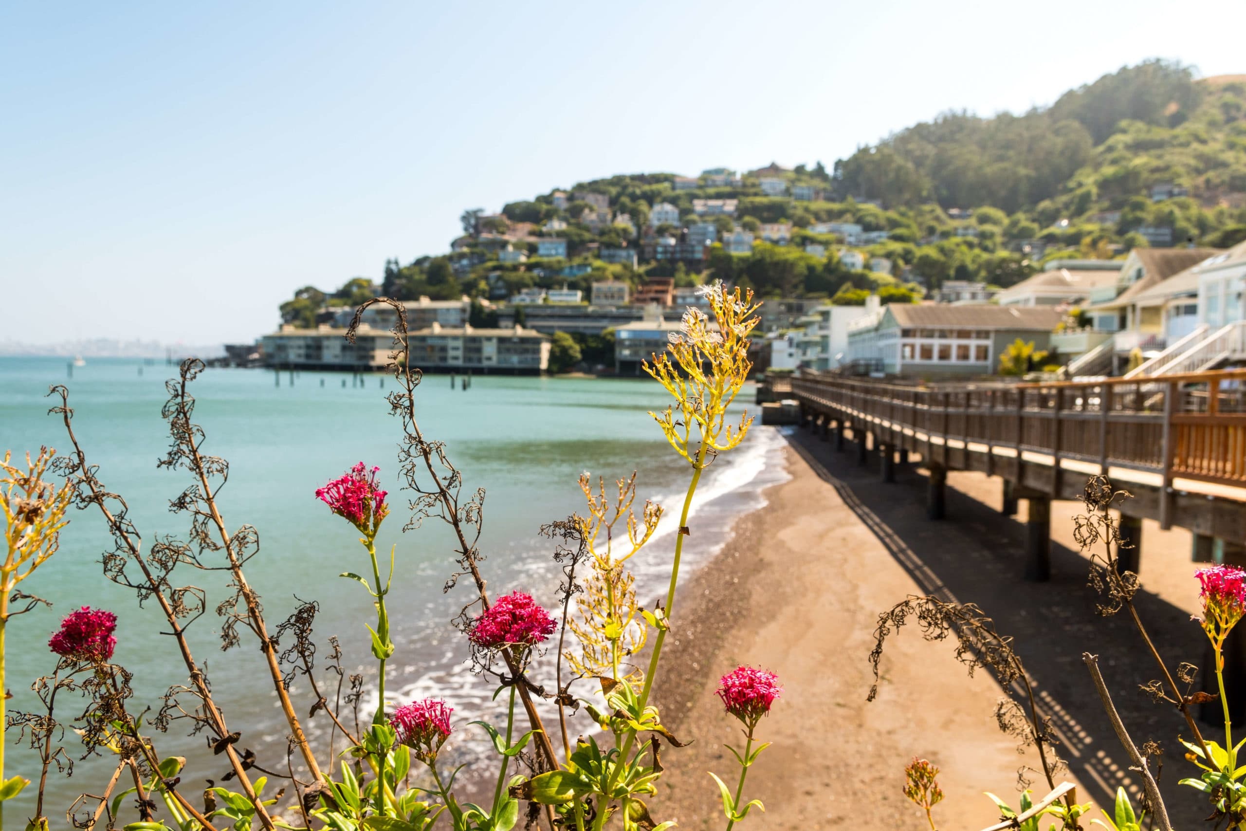 Explore Muir Woods and Sausalito: Half-Day San Francisco Tour