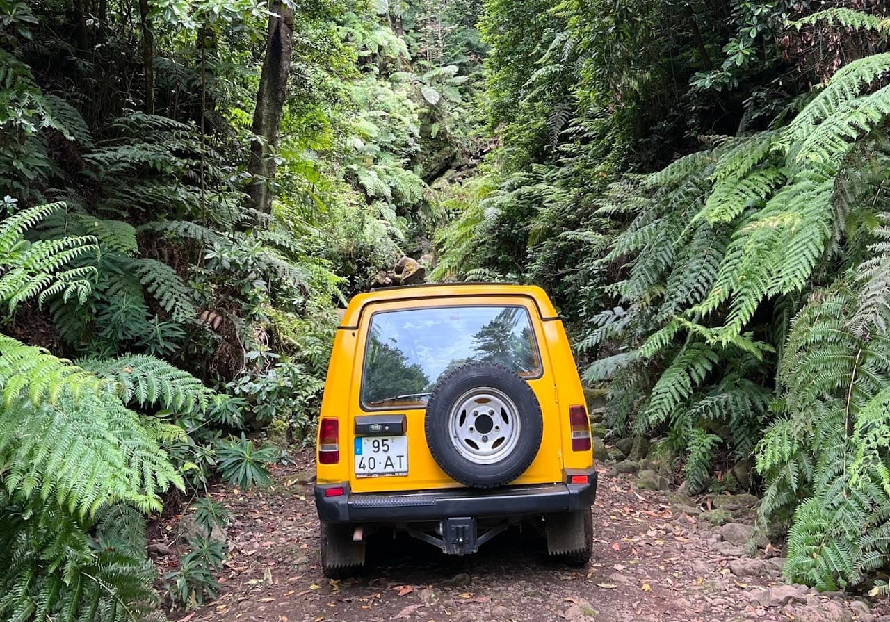 Jeep Tour to Câmara de Lobos, Cabo Girão & Madeira Wine Tasting