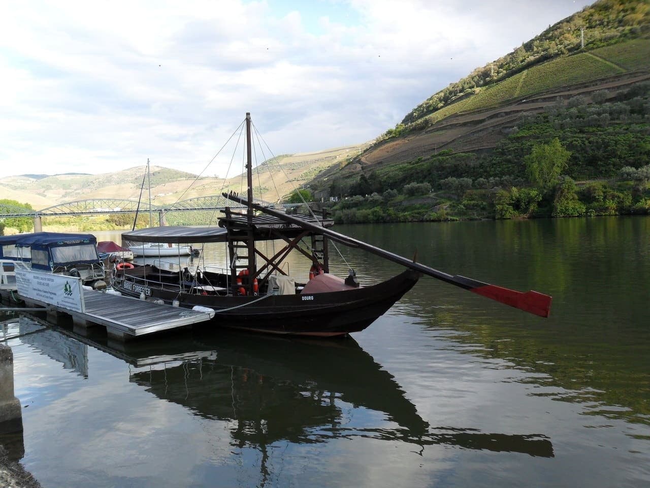 Douro Heritage: Wine, Rabelo Cruise & N222 Scenic Drive