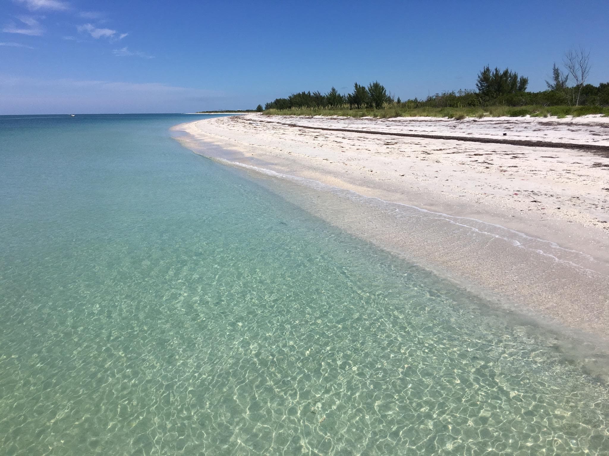 Cayo Costa Shelling Cruise with Adventure in Paradise Inc near Fort Myers