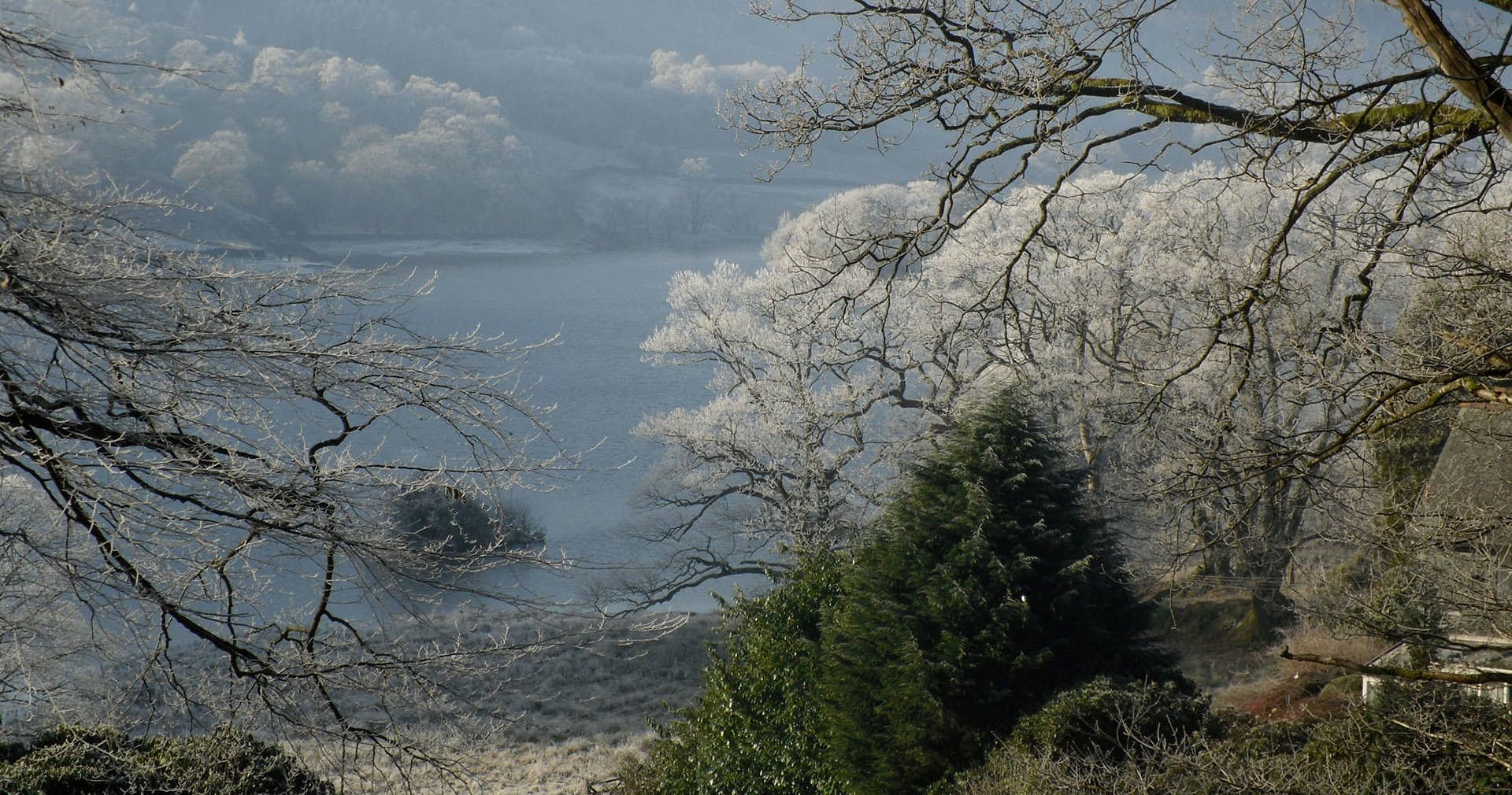 Misty lakeside vista with frosted trees over a remote loch