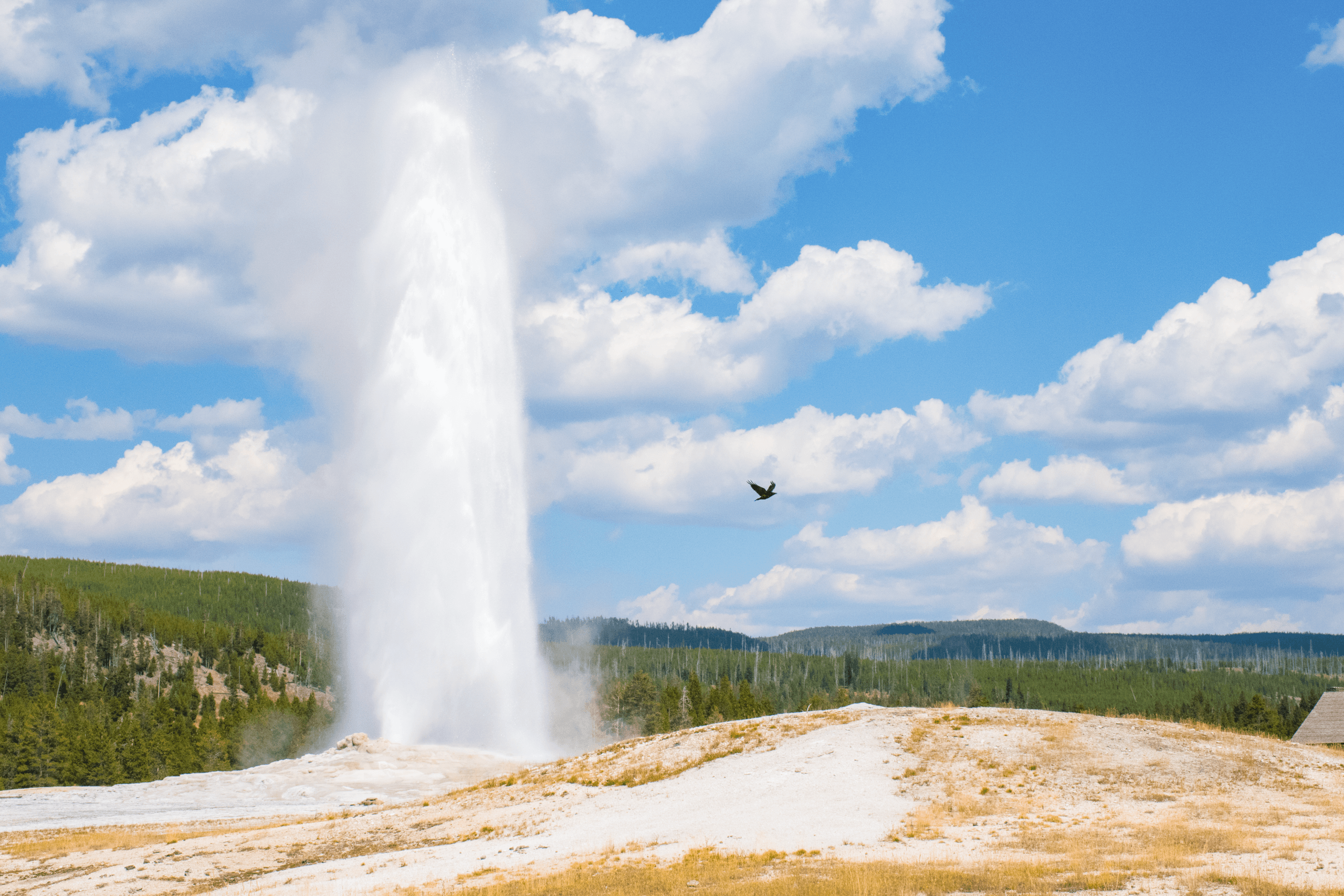 Geyser eruption in Yellowstone National Park, blue sky