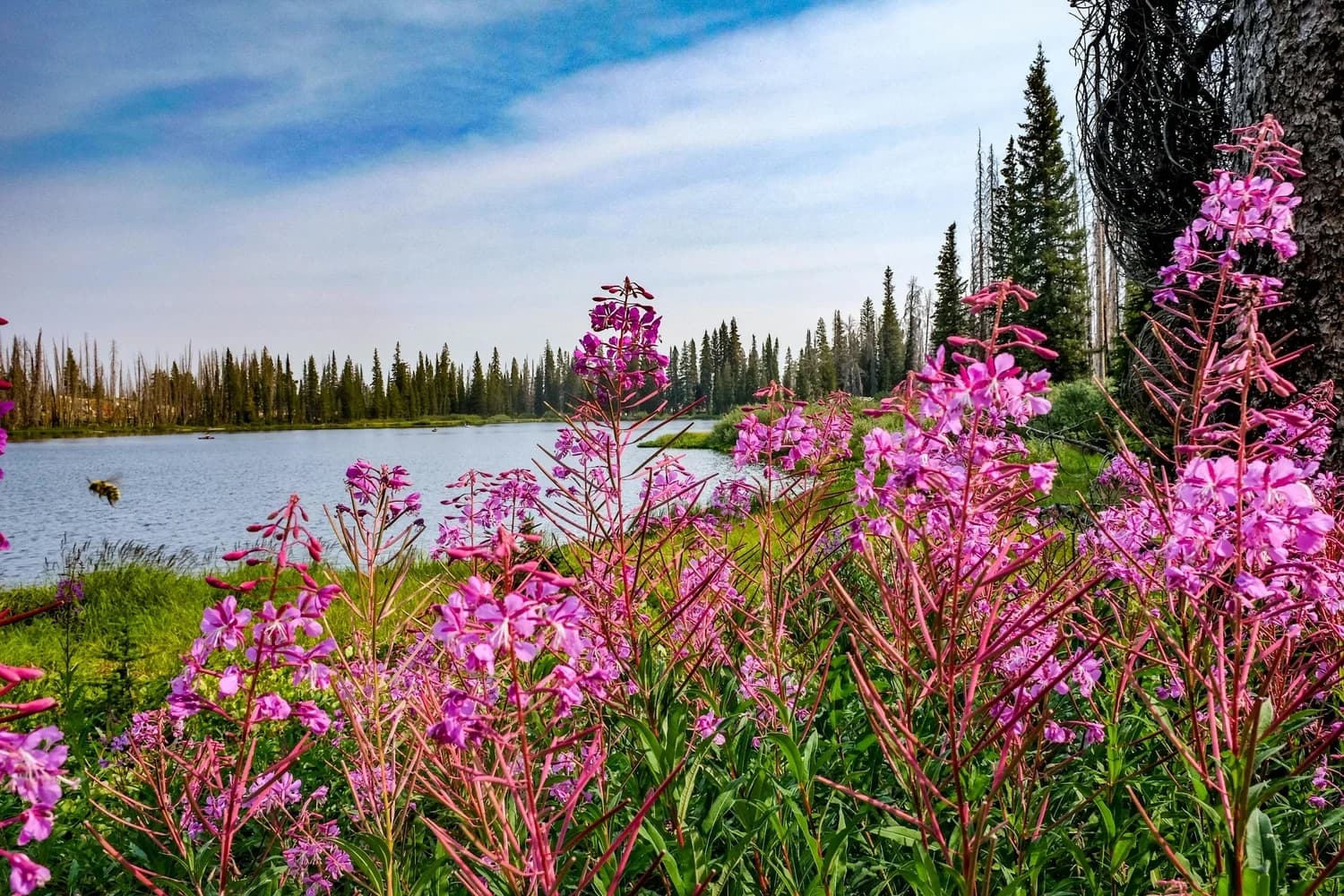 Alpine Lakes Guided Hike: Dream, Emerald & Lake Haiyaha at Bear Lake, Rocky Mountain NP photo 1