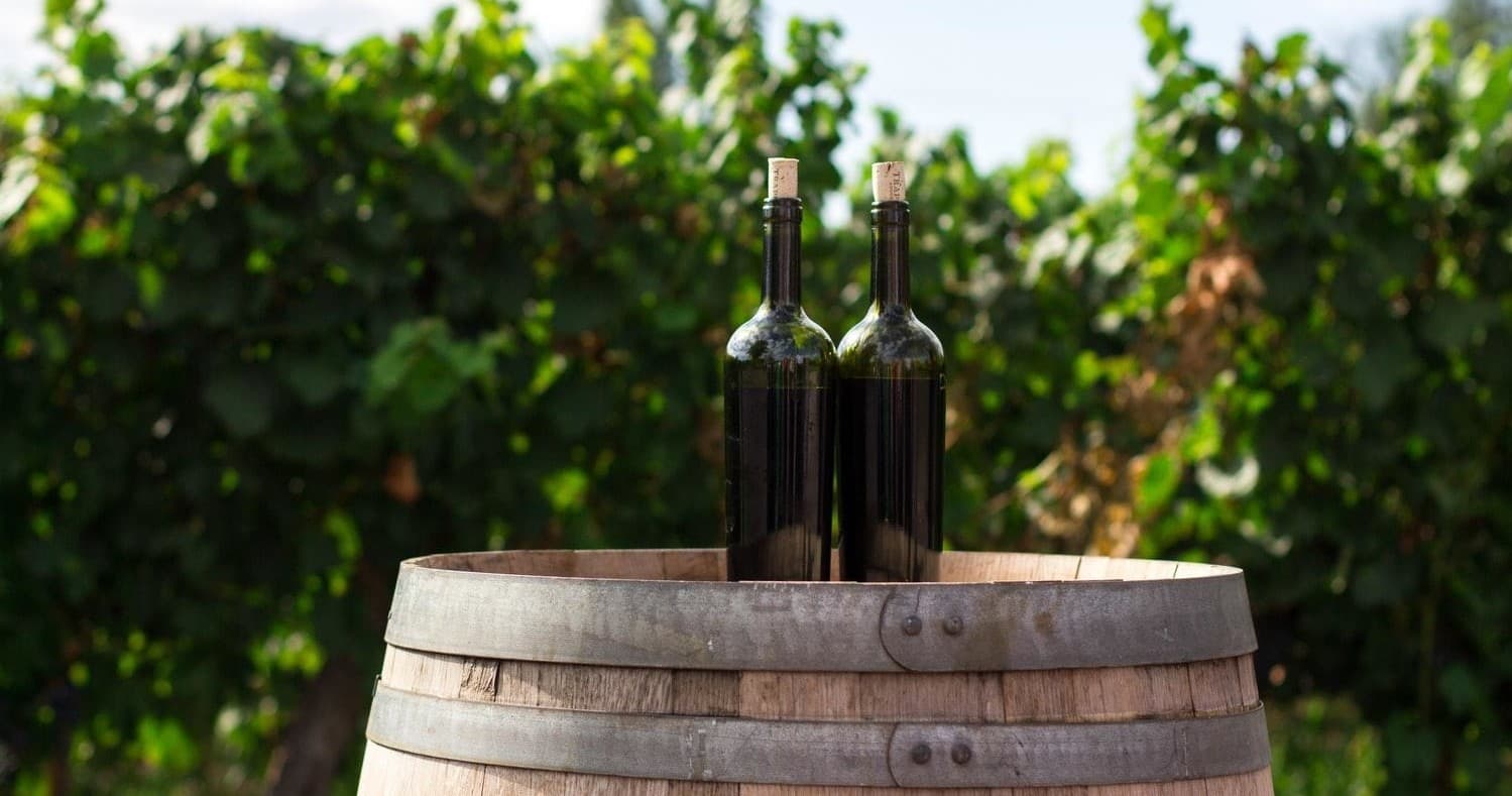 Land Adventures: Rioja Wine Tour in Navarra