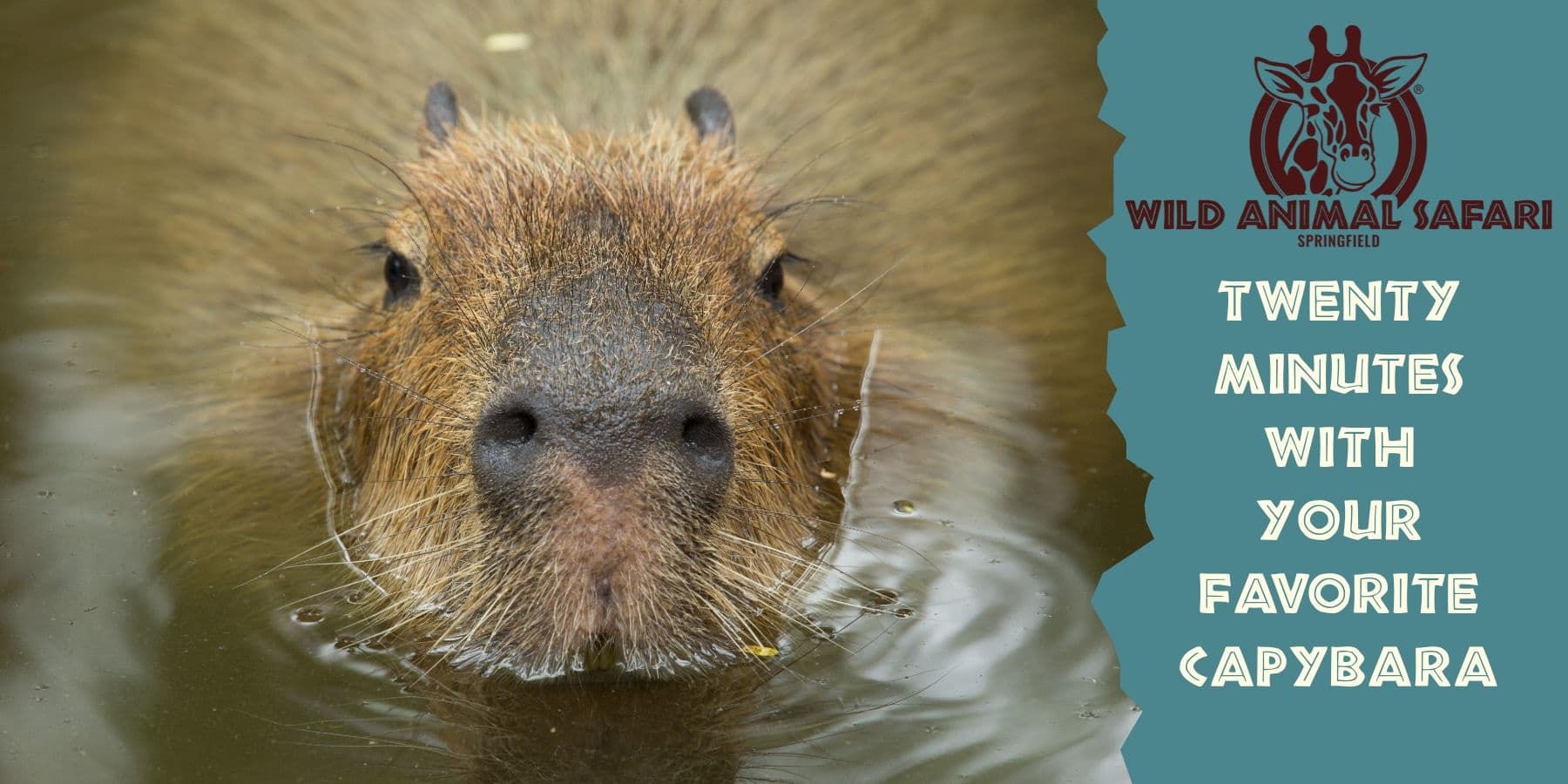 Wildlife & Water Activities at Wild Animal Safari Strafford