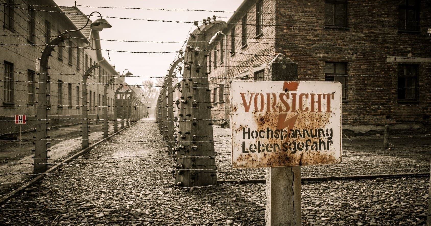 Krakow & Auschwitz Day Tour with AB Poland Travel from Warsaw
