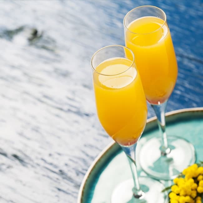Mimosa Brunch Cruise on Lake Hopatcong, NJ