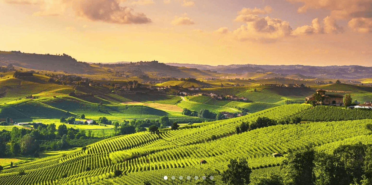 Land-Adventures: Langhe Winery & Cultural Tour from Turin