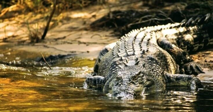 Explore Kakadu’s Hidden Waterfalls on an Early Season 4WD Adventure