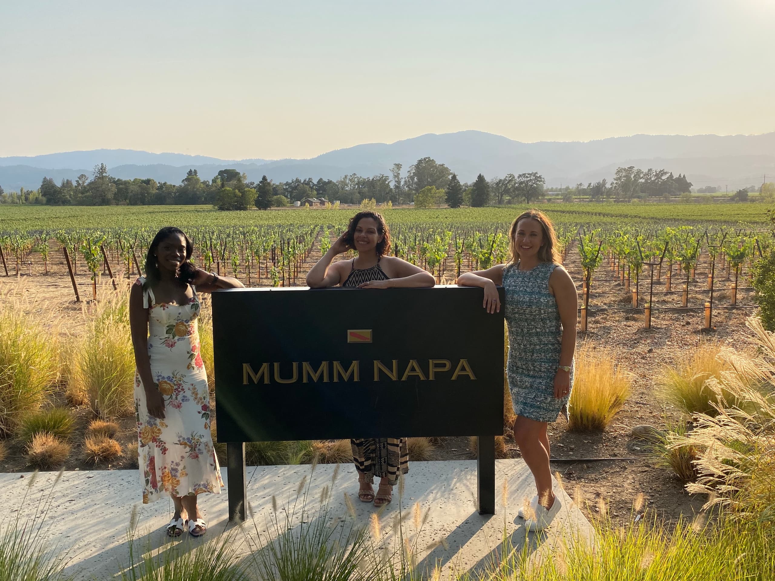 Private 6-Hour Napa & Sonoma Valley Wine Tour