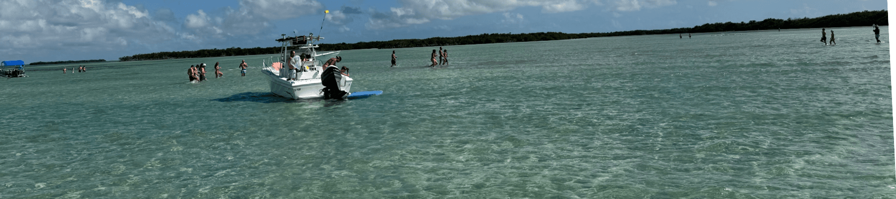 Four Hour Private Charter to Marvin & Snipes Keys: Sandbar Swing, Turquoise Shallows & Pet-Friendly Escape
