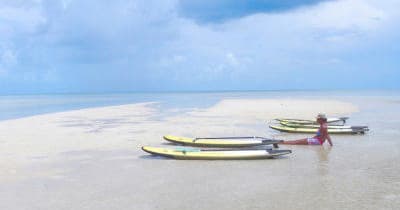 Eco Tour - Full Day Charter