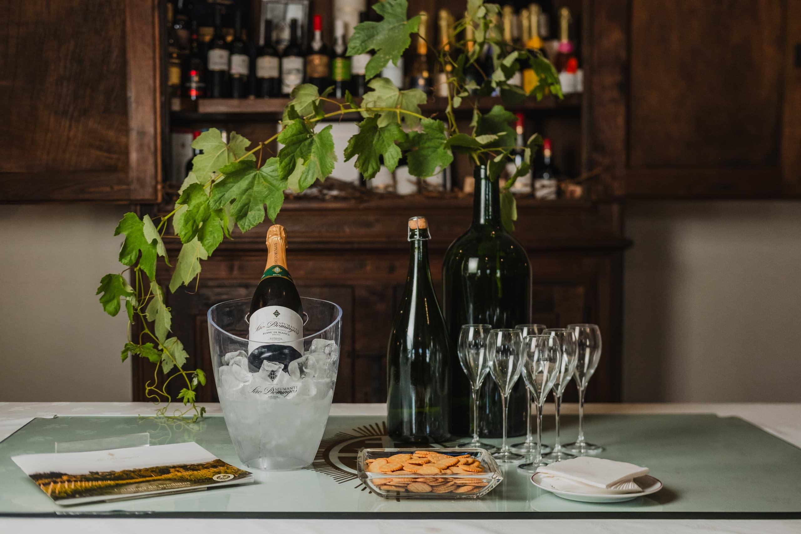 Wine & Caves Tour at Caves São Domingos