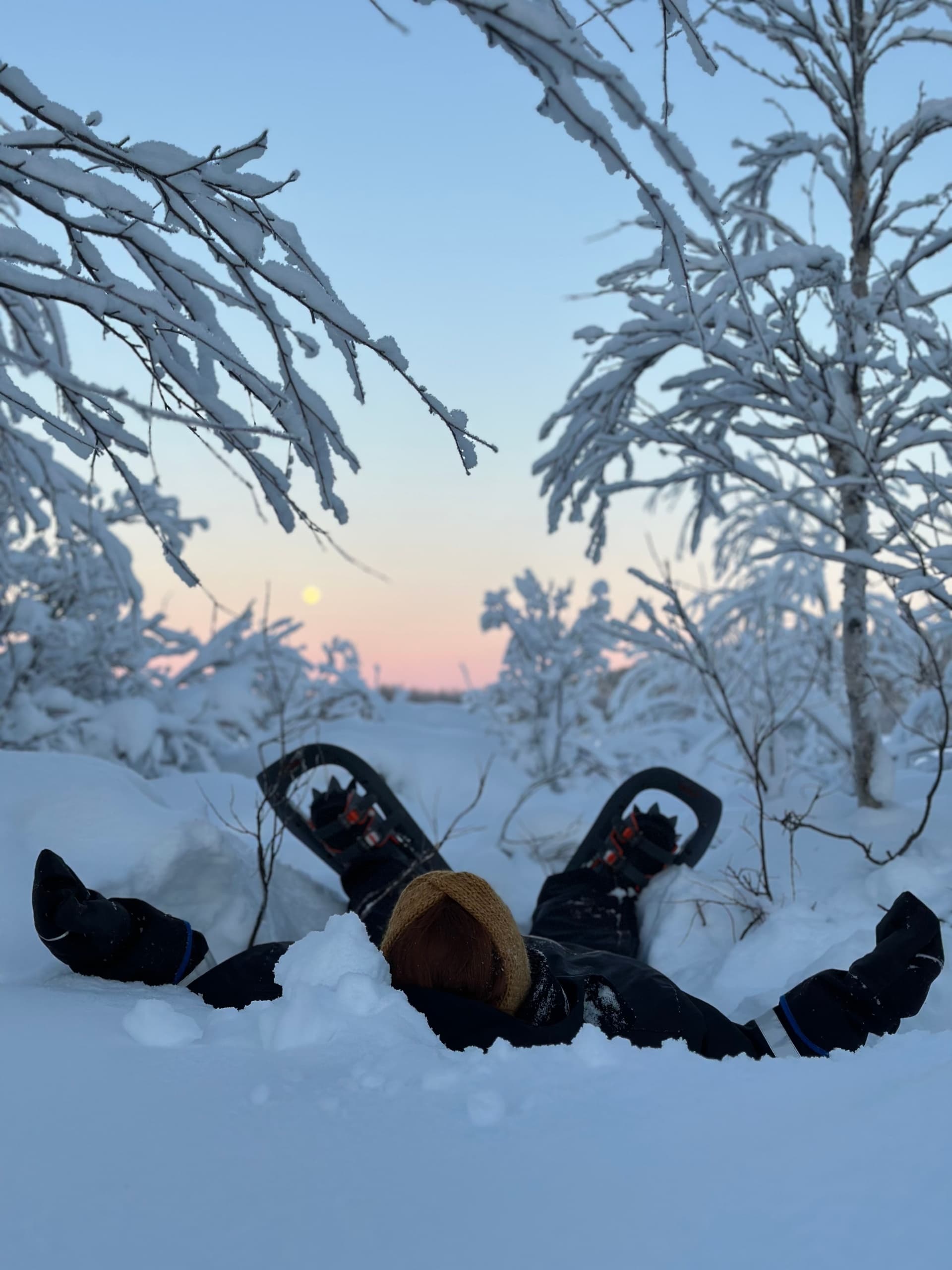Winter Wilderness & Snow Forest Trek at Hotelli Kultahippu