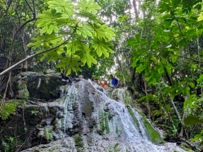 Explore Caledonia Ghut Hike in St. Croix, USVI