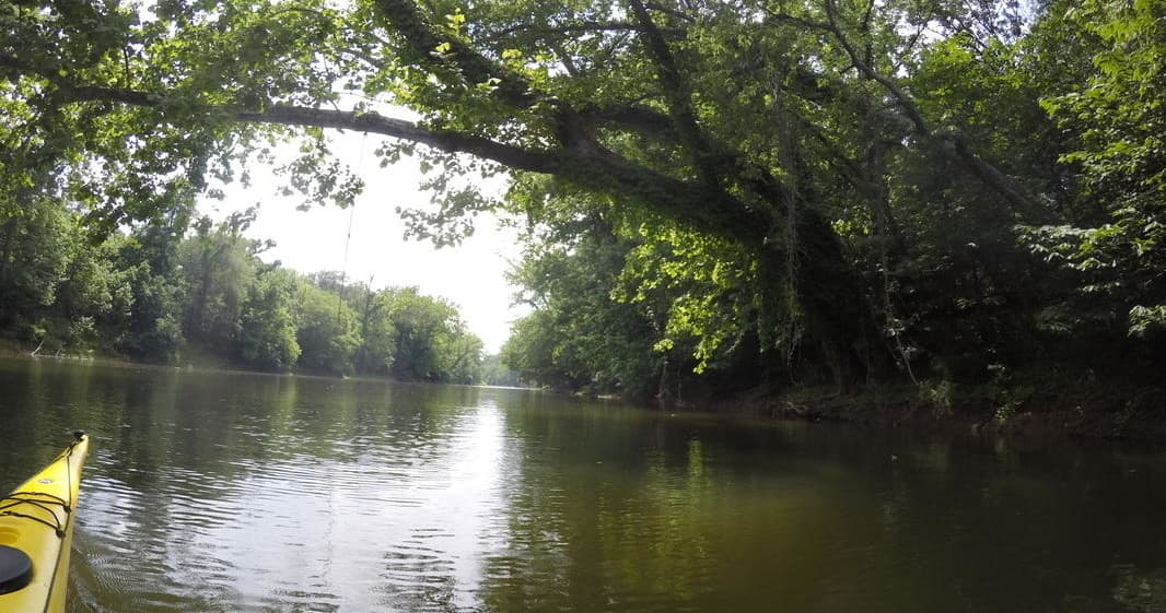 Calm river paddle through tree canopy with reflective water