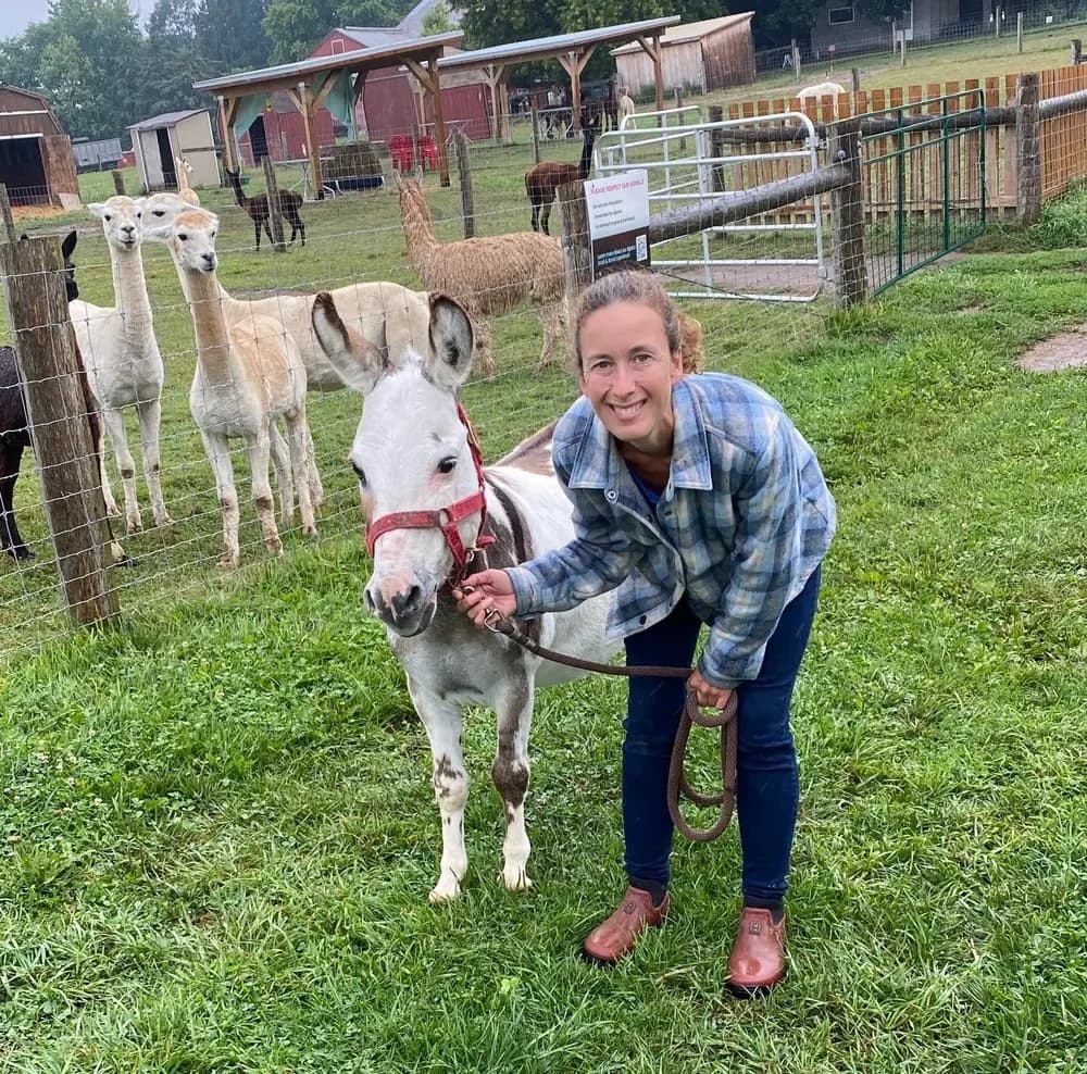 Miniature Donkey Snuggles in Bright, Ontario — Donkey Walks & Cuddles photo 4