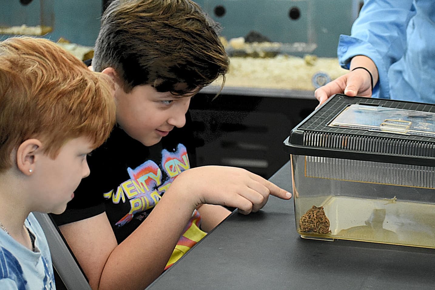 Explore Tampa Bay's Marine Life with Engaging Homeschool Classes at Tampa Bay Watch