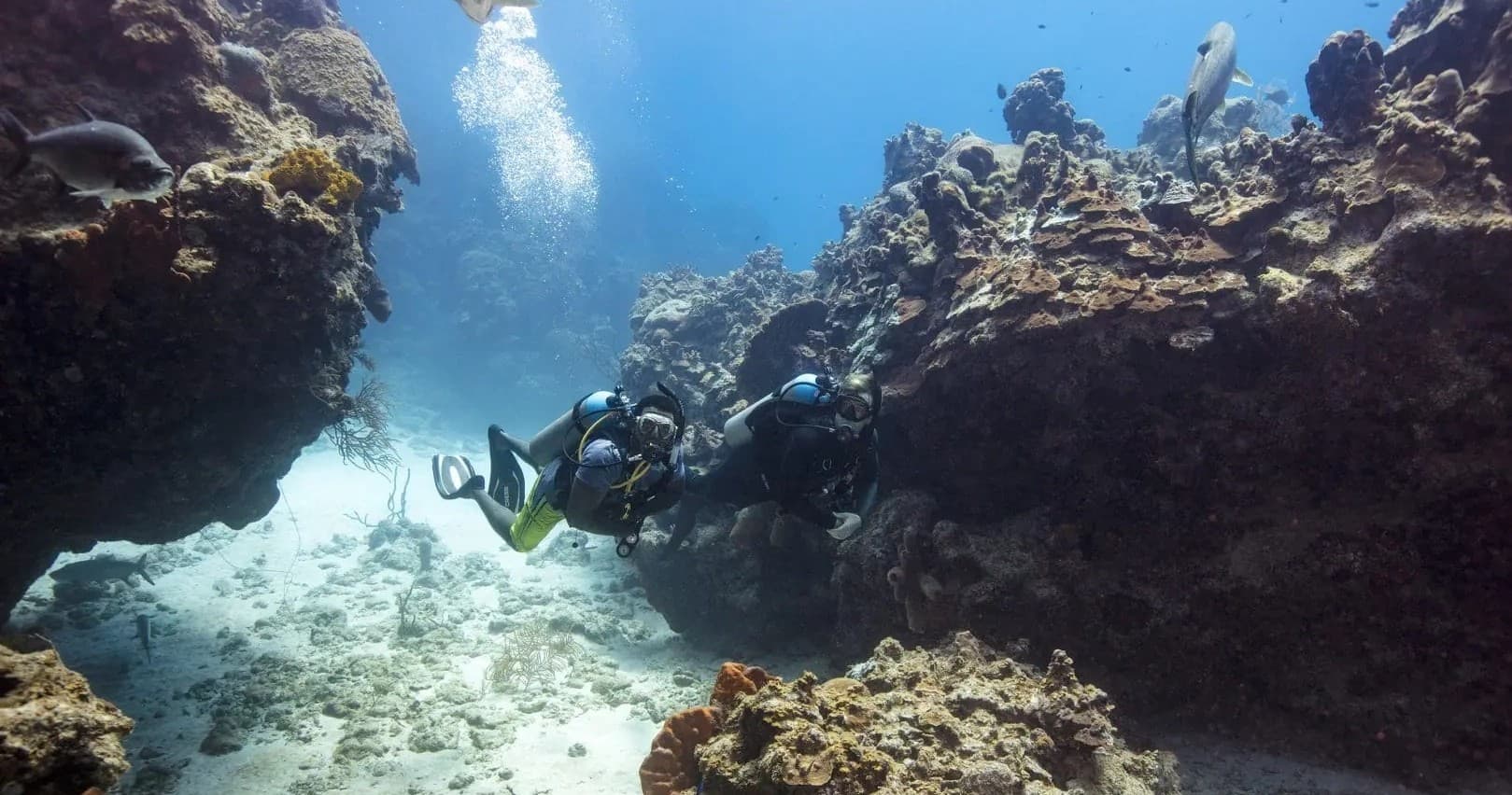 Scuba diver swimming through coral reef canyon in tropical sea