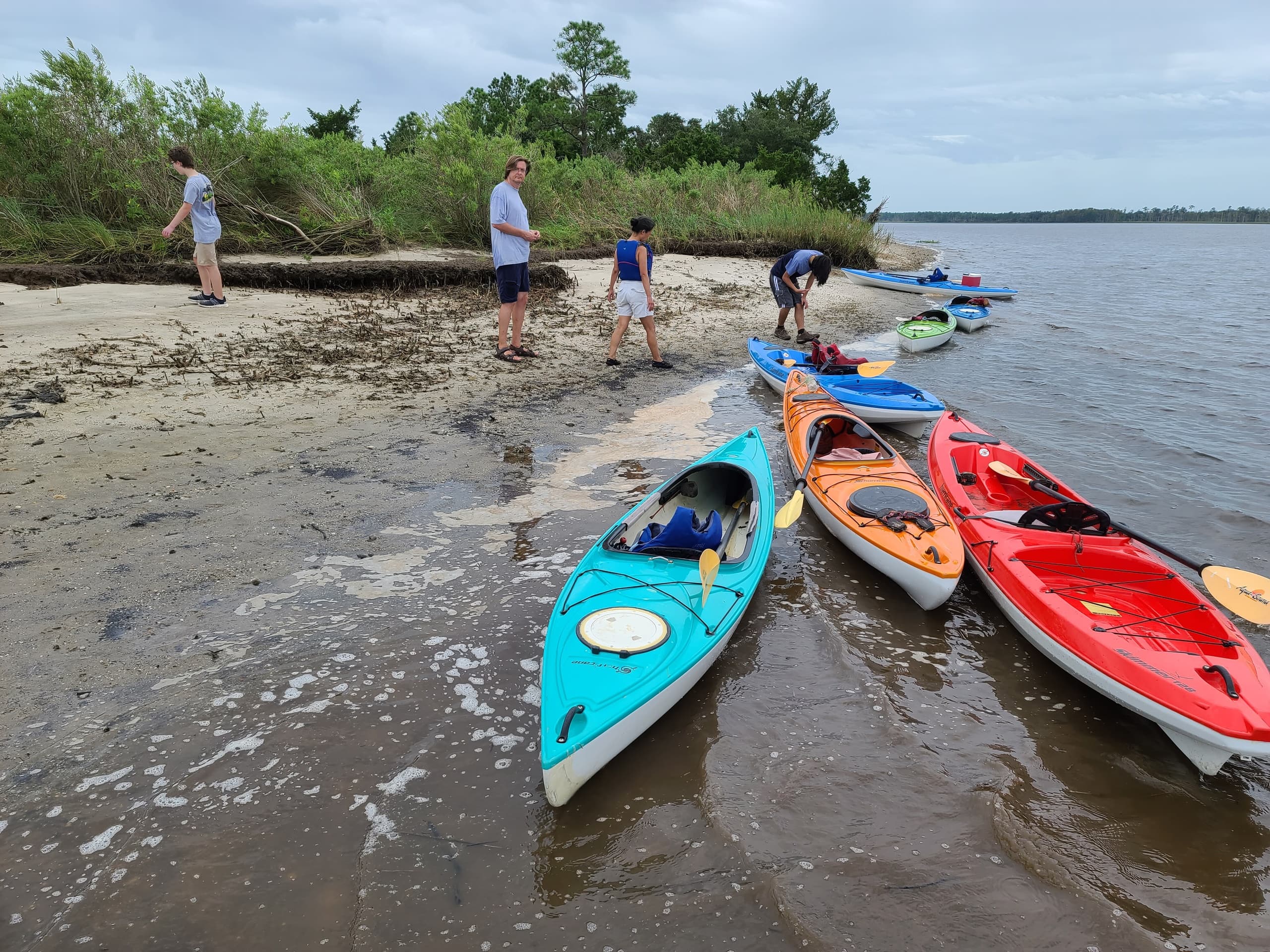Explore Shark's Tooth Island by Kayak: Fossil Hunting and Serene Paddling in Wilmington, NC