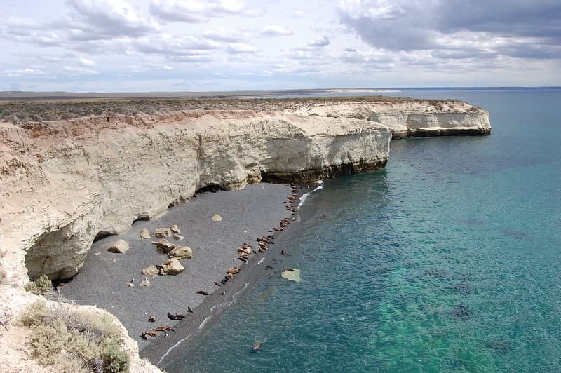 Puerto Madryn Sea Lions Tour with Buenos Aires Tours