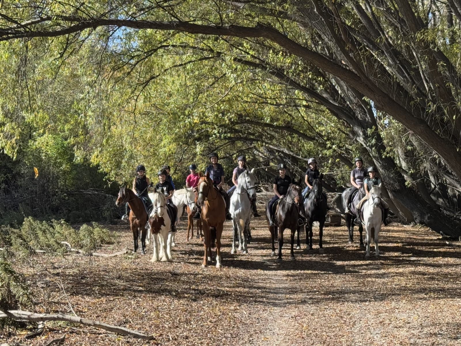 Three-Day Equestrian Sleepaway at Shotover: Trail Rides, Lake Swims & Mounted Games photo 3