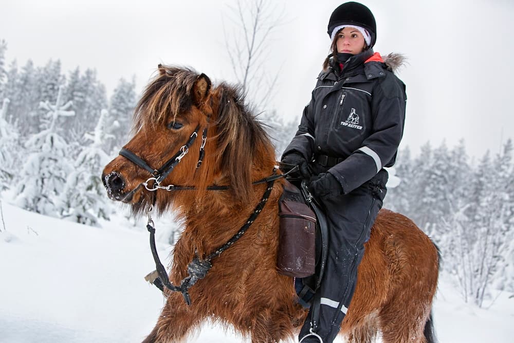 Winter Horseback Adventure with Horses of Taiga in Lapland