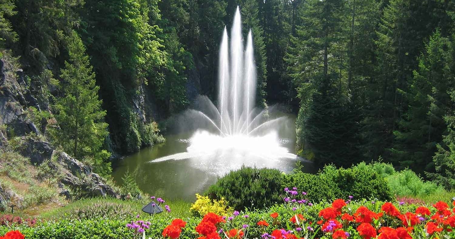 Explore Victoria City and Butchart Gardens: A Private Full-Day Adventure