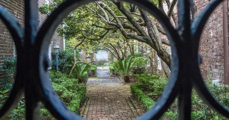 Lowcountry Walking Tours fleet