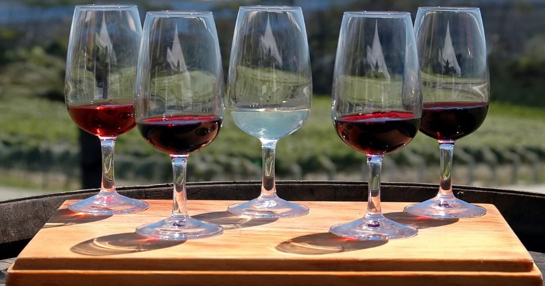Wine Tasting Tour with Torres Vedras Wines at Special Edition