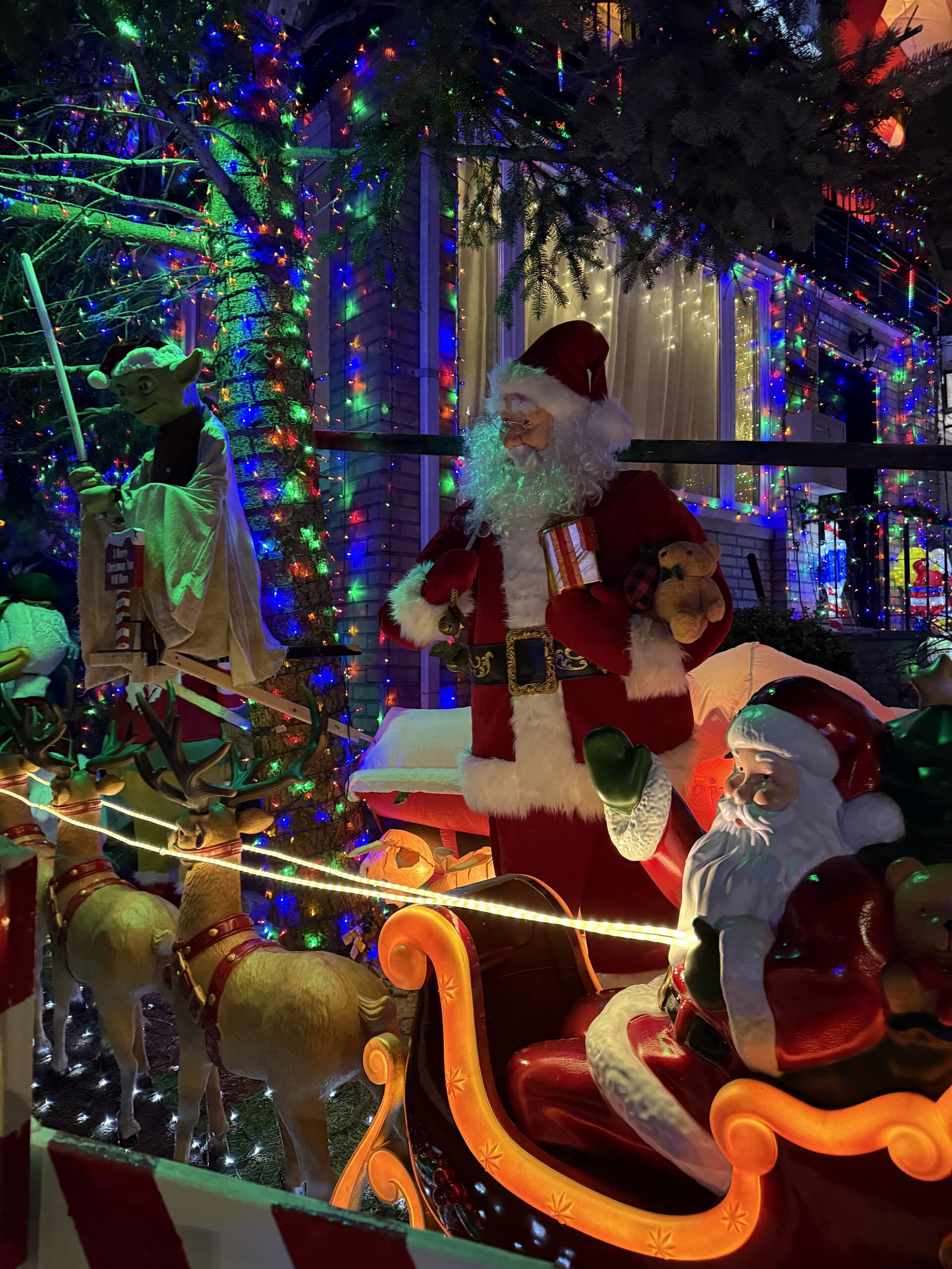 Dyker Heights After Dark: A Brooklyn Christmas Lights Tour with DUMBO Skyline Views photo 3