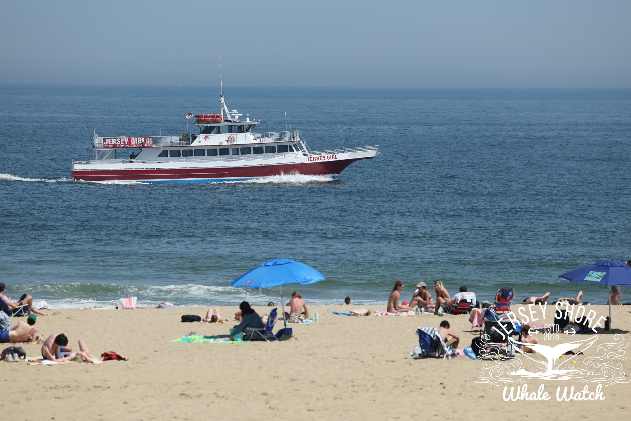 Marine Science Camp Adventure in Belmar, New Jersey