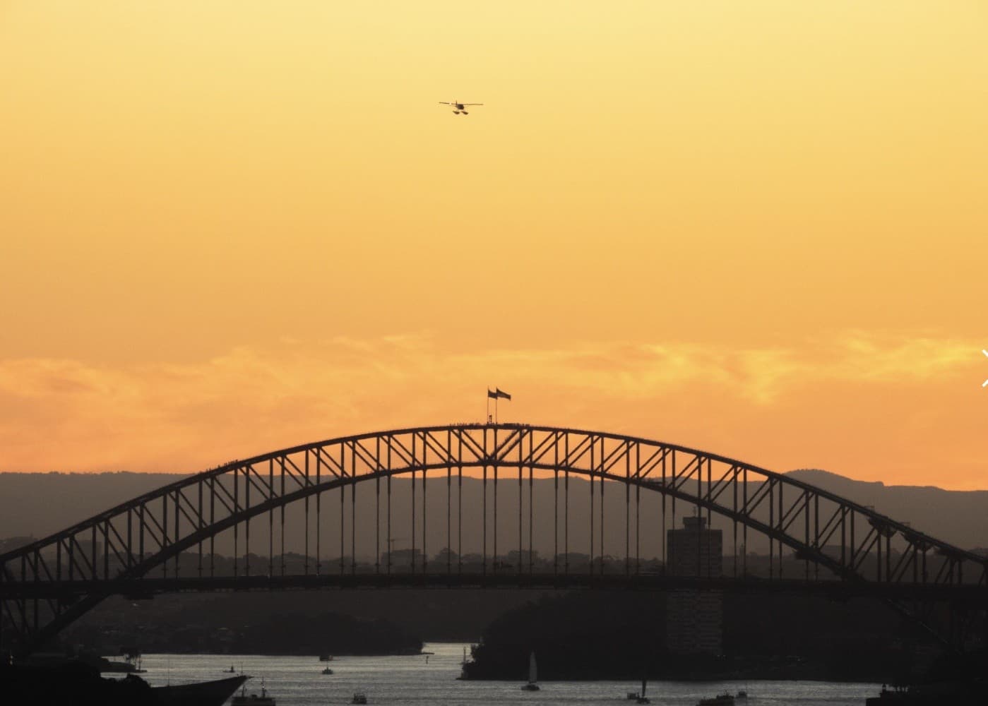 Sunset Highlights Flight: Seaplane Dinner & Sydney Harbour Aerial Tour photo 3