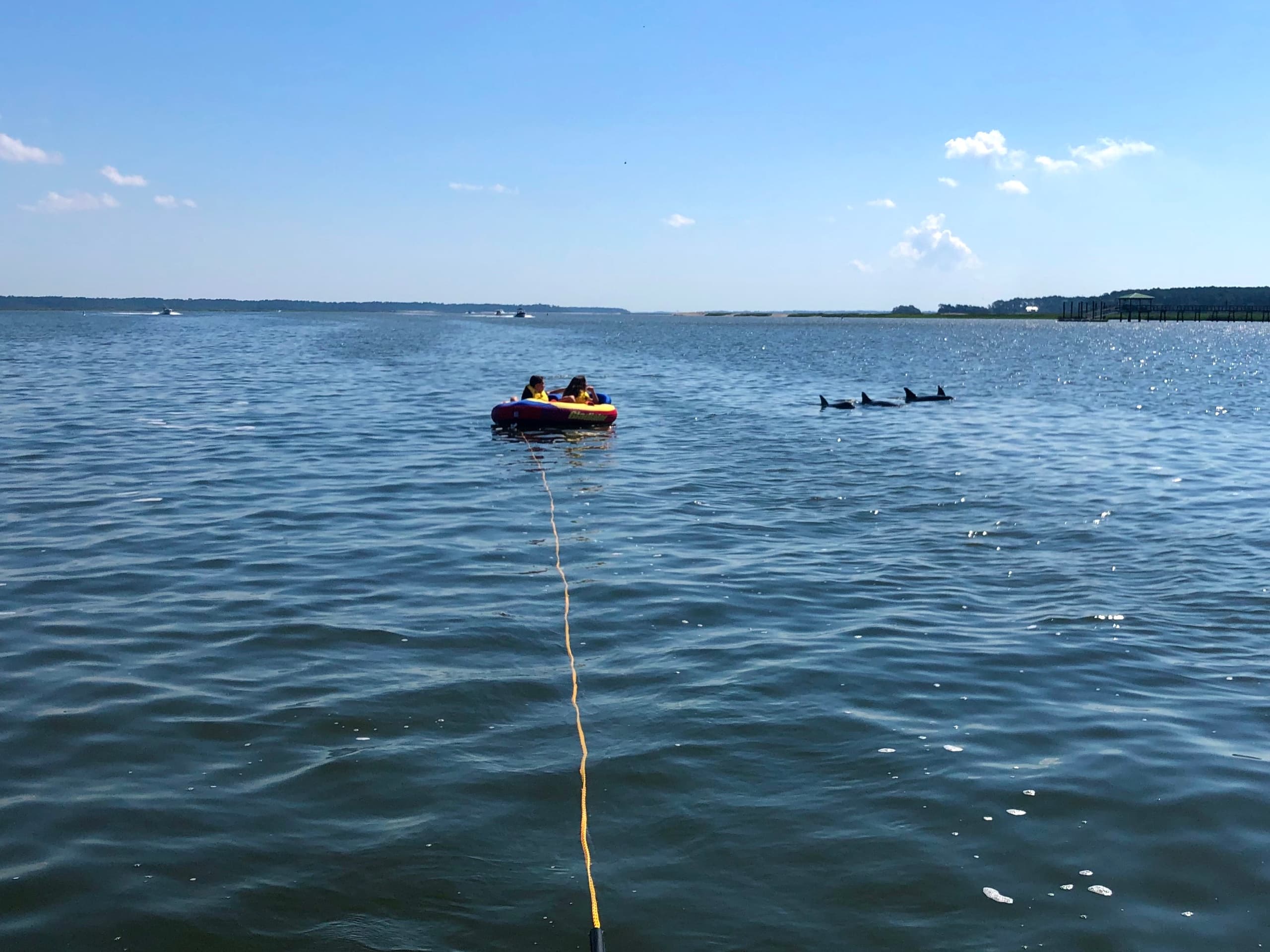 Explore Hilton Head Island: Tubing and Dolphin Adventure in Lowcountry Waters