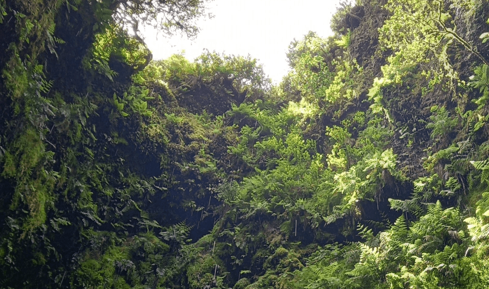 Geological Adventure with Azores Touch S.A on Terceira Island