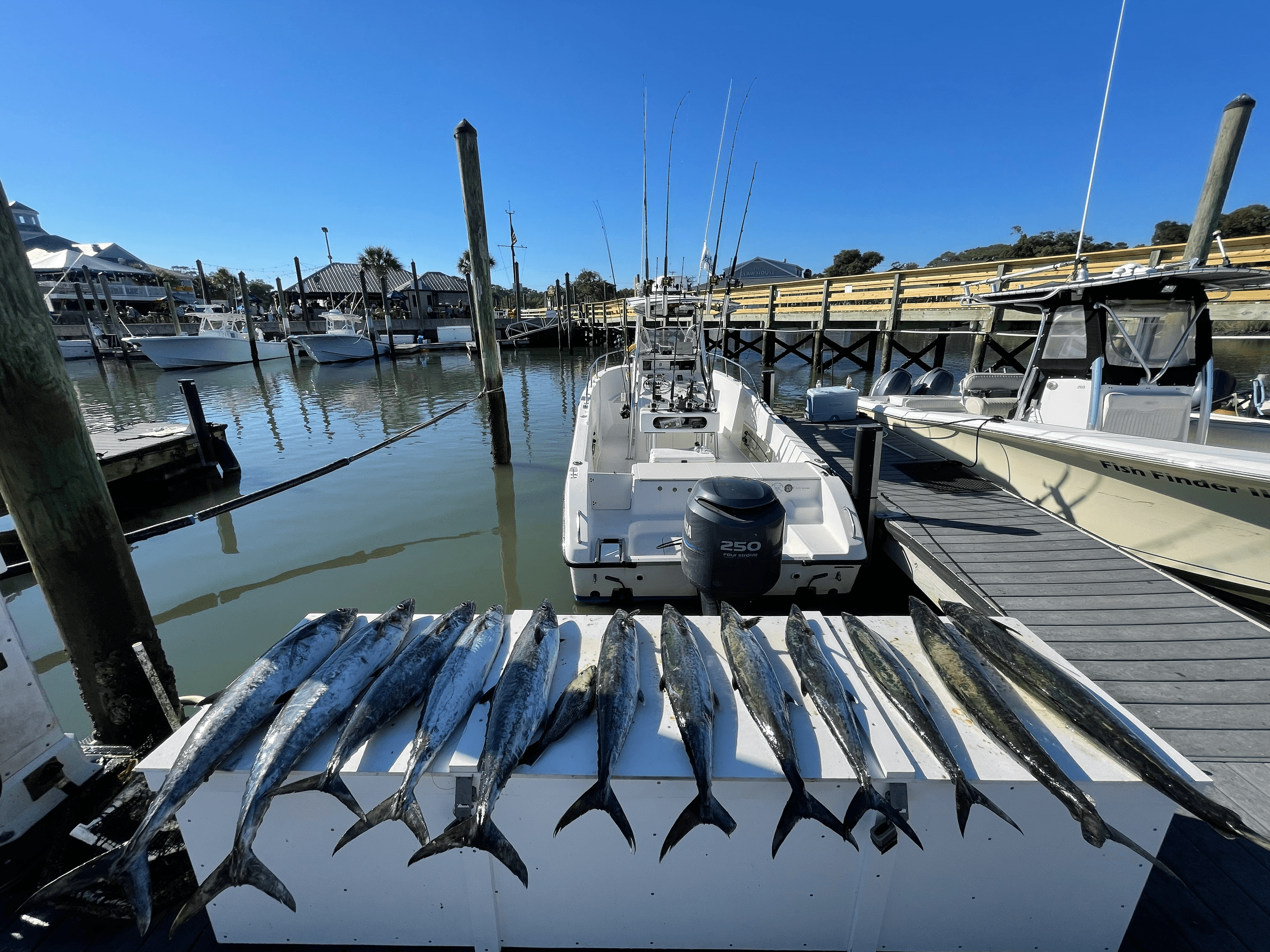 Nearshore Silver-Tuna Combo: 6-Hour Sportfishing Trip from Murrells Inlet