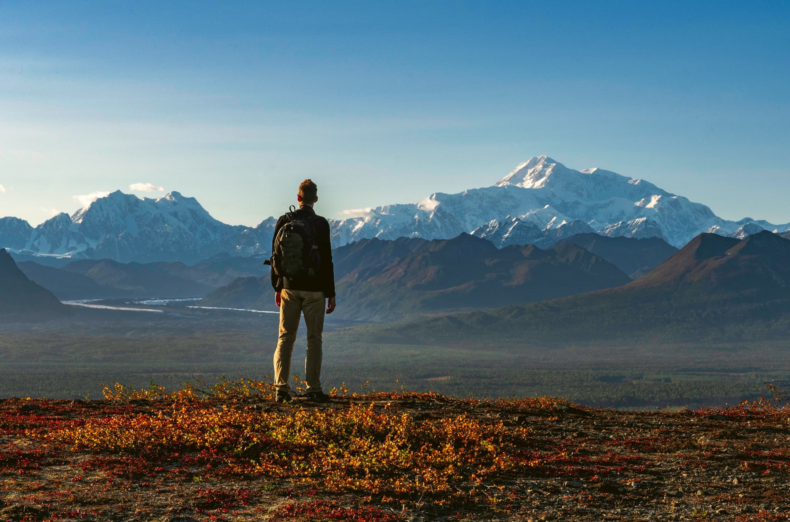 Denali Wilderness Hike with Alaska Nature Guides