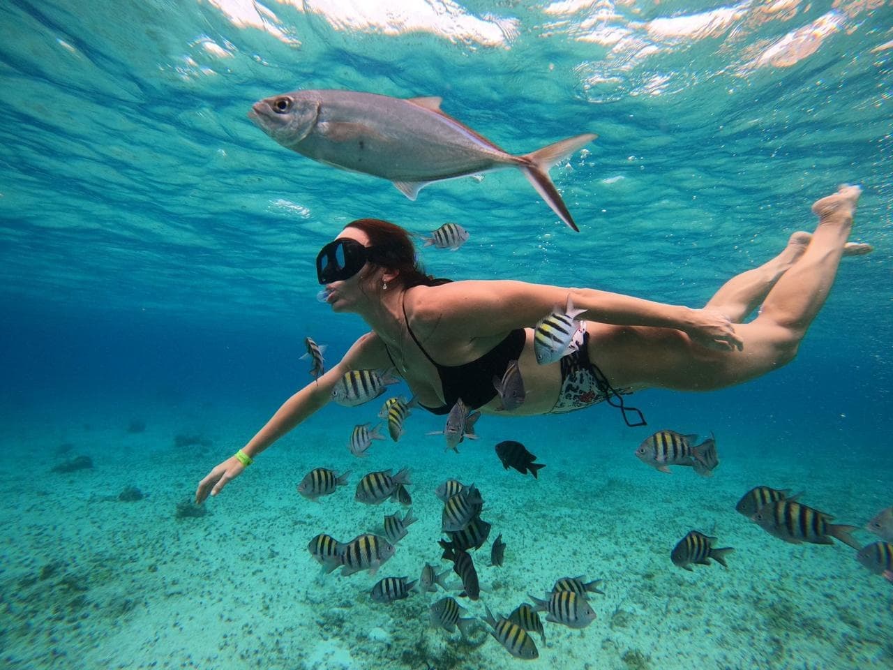 Water Activities & Eco Snorkeling with Rosa Tours in Cozumel