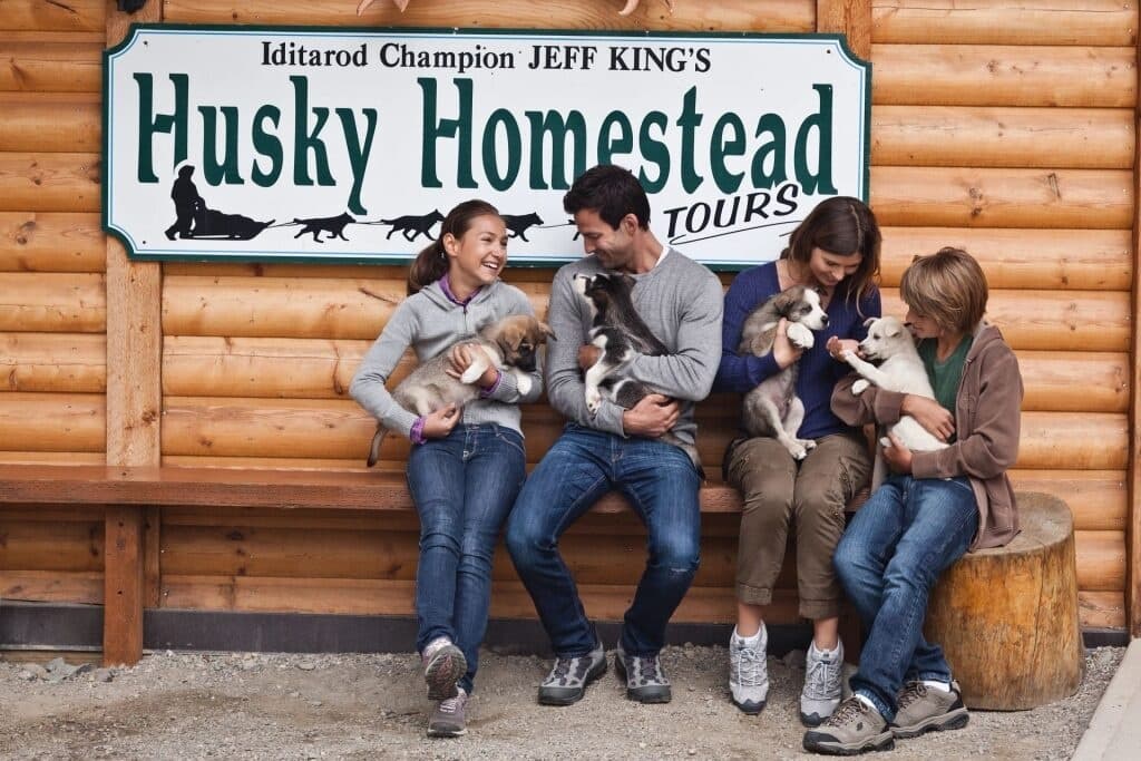 Alaska Dog Sledding & Husky Experiences Near Denali