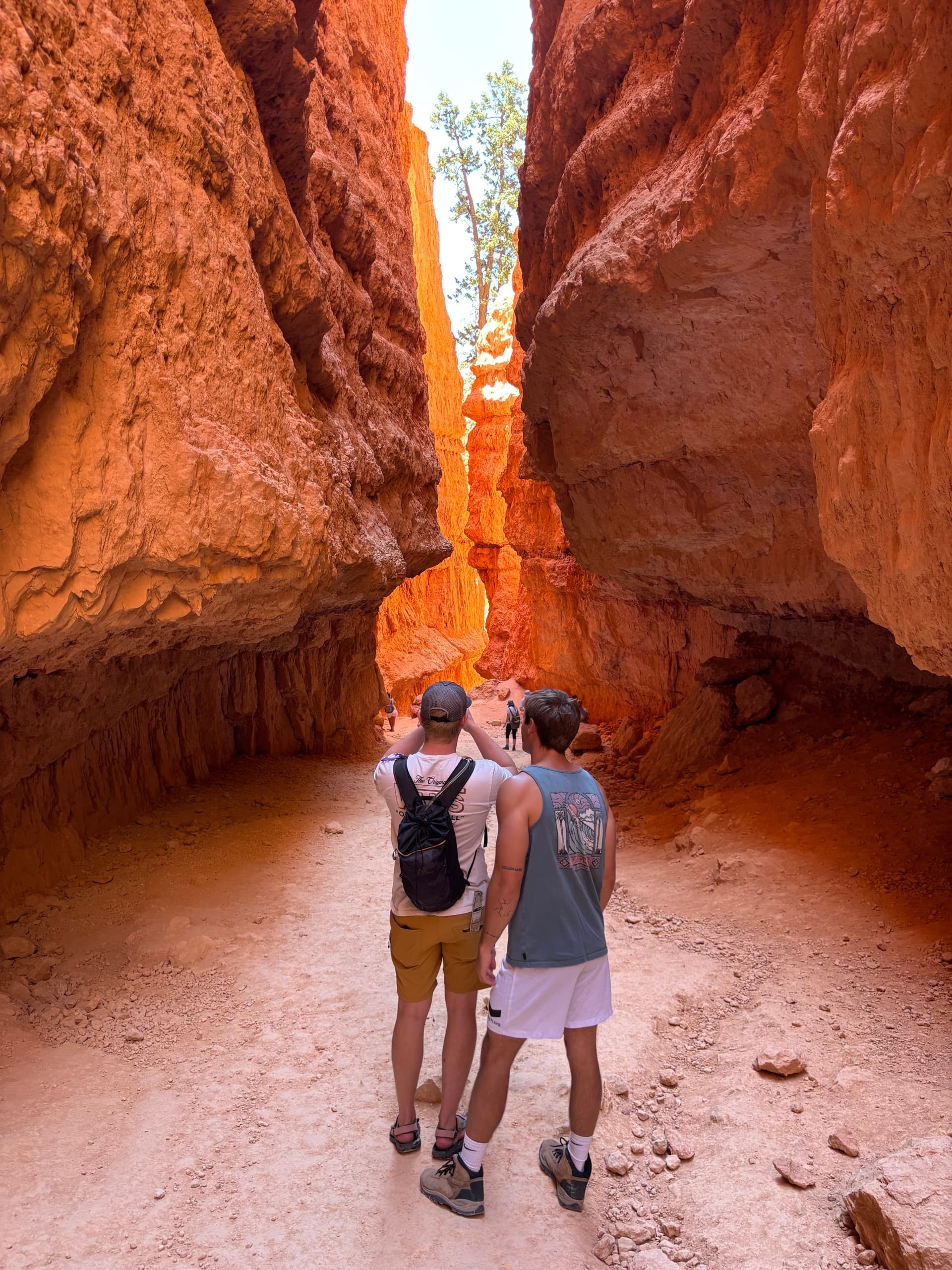 Private Hike the Hoodoos in Bryce Canyon: A Local Guide Experience photo 4