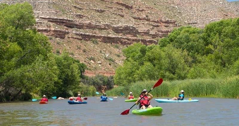 Group kayakers paddling a calm river through canyon and green willows