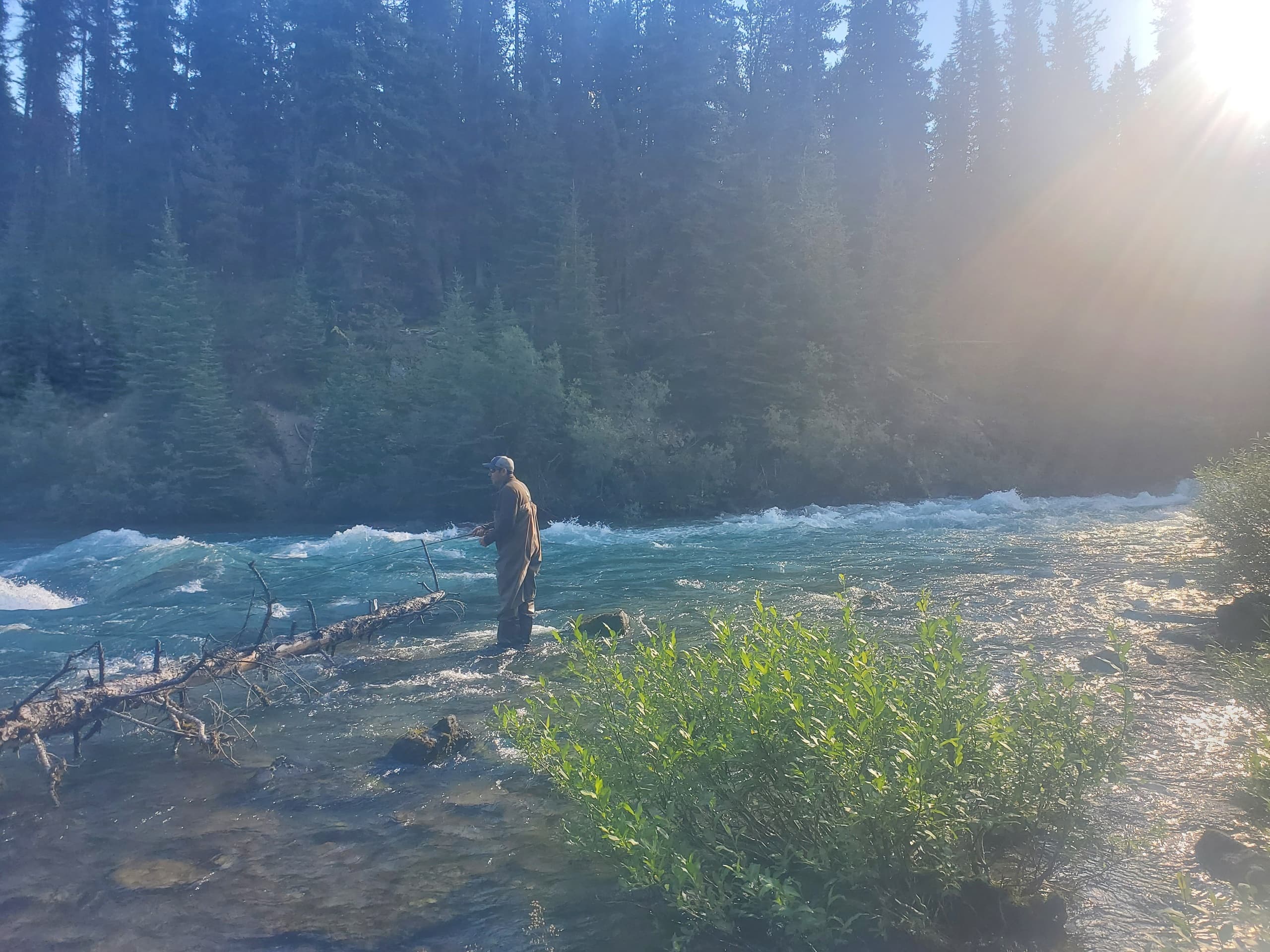 Fishing Adventure at Jasper Park with Upper Maligne River